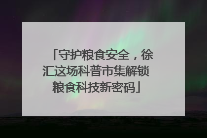 守护粮食安全，徐汇这场科普市集解锁粮食科技新密码