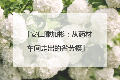 安仁滕加彬：从药材车间走出的省劳模