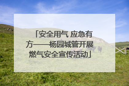 安全用气 应急有方——杨园城管开展燃气安全宣传活动