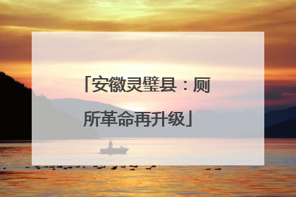 安徽灵璧县：厕所革命再升级
