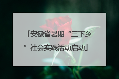 安徽省暑期“三下乡”社会实践活动启动