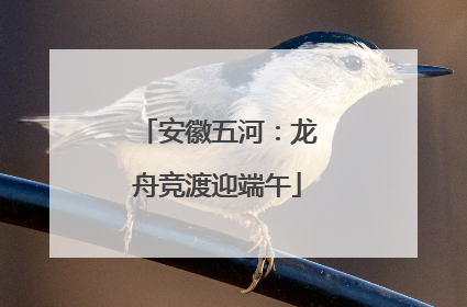 安徽五河：龙舟竞渡迎端午