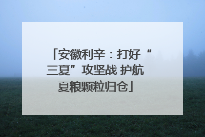 安徽利辛：打好“三夏”攻坚战 护航夏粮颗粒归仓