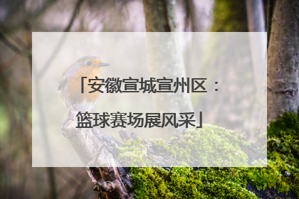 安徽宣城宣州区：篮球赛场展风采