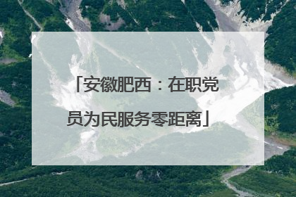 安徽肥西：在职党员为民服务零距离