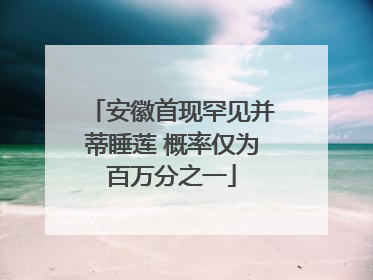 安徽首现罕见并蒂睡莲 概率仅为百万分之一