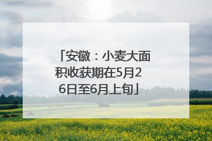 安徽：小麦大面积收获期在5月26日至6月上旬