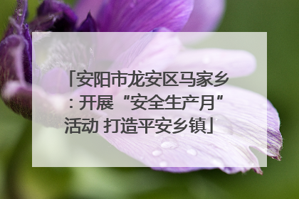 安阳市龙安区马家乡：开展“安全生产月”活动 打造平安乡镇