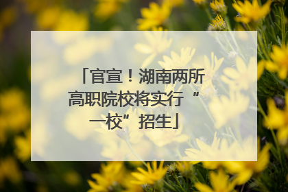 官宣！湖南两所高职院校将实行“一校”招生