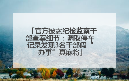 官方披露纪检监察干部查案细节：调取停车记录发现3名干部假“办事”真麻将