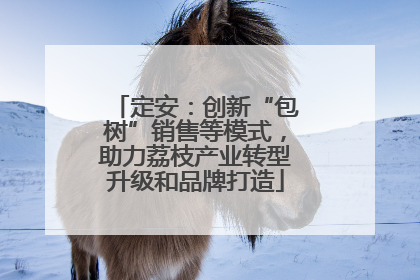 定安：创新“包树”销售等模式，助力荔枝产业转型升级和品牌打造