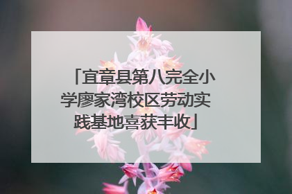 宜章县第八完全小学廖家湾校区劳动实践基地喜获丰收