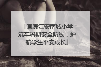 宜宾江安南城小学：筑牢暑期安全防线，护航学生平安成长