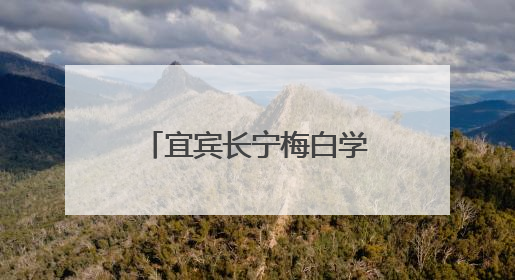 宜宾长宁梅白学校：镇卫生院进校送关怀，防暑安全知识润心田