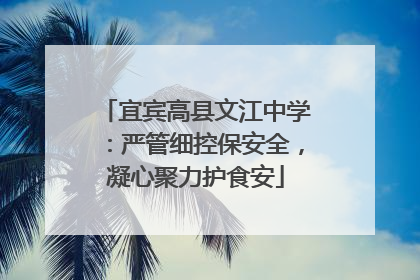 宜宾高县文江中学：严管细控保安全，凝心聚力护食安