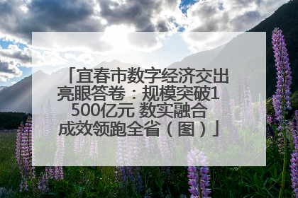 宜春市数字经济交出亮眼答卷：规模突破1500亿元 数实融合成效领跑全省（图）