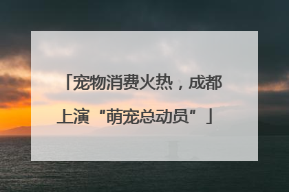 宠物消费火热，成都上演“萌宠总动员”