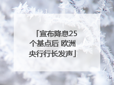 宣布降息25个基点后 欧洲央行行长发声