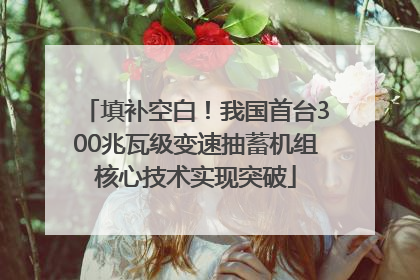 填补空白！我国首台300兆瓦级变速抽蓄机组核心技术实现突破