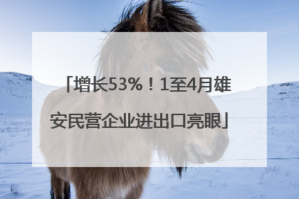 增长53%！1至4月雄安民营企业进出口亮眼