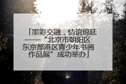 墨彩交融，情谊绵延——“北京市朝阳区·东京都港区青少年书画作品展”成功举办