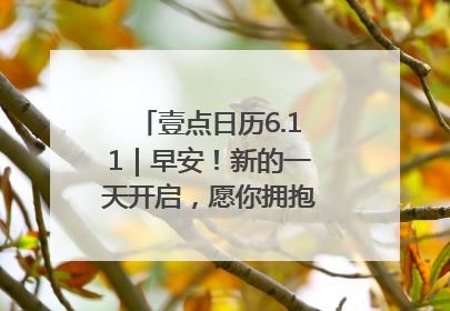 壹点日历6.11｜早安！新的一天开启，愿你拥抱希望，追逐梦想