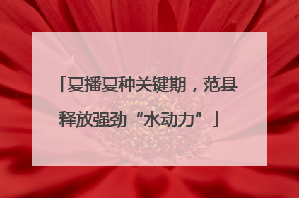 夏播夏种关键期，范县释放强劲“水动力”