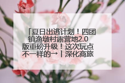 夏日出逃计划！四团镇渔墩村露营地2.0版重磅升级！这次玩点不一样的→丨深化商旅文体农展融合