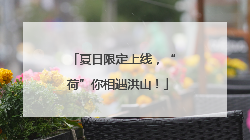 夏日限定上线，“荷”你相遇洪山！