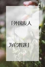 外国友人为它着迷