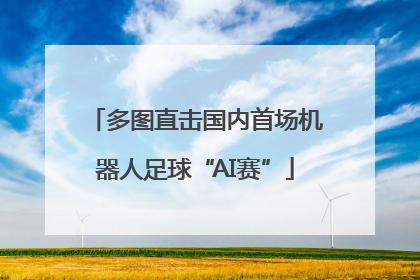 多图直击国内首场机器人足球“AI赛”