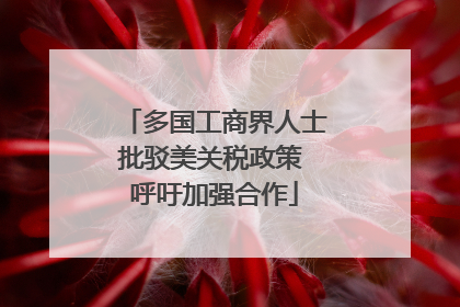 多国工商界人士批驳美关税政策 呼吁加强合作