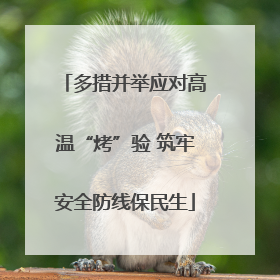 多措并举应对高温“烤”验 筑牢安全防线保民生
