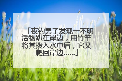 夜钓男子发现一不明活物趴在岸边，用竹竿将其拨入水中后，它又爬回岸边……