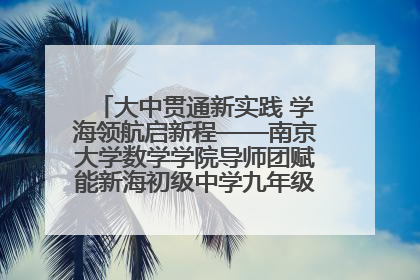 大中贯通新实践 学海领航启新程——南京大学数学学院导师团赋能新海初级中学九年级学子生涯规划