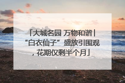 大城名园 万物和谐│“白衣仙子”盛放引围观，花期仅剩半个月