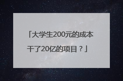 大学生200元的成本干了20亿的项目？