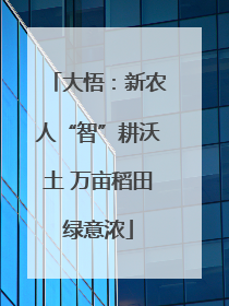 大悟：新农人“智”耕沃土 万亩稻田绿意浓
