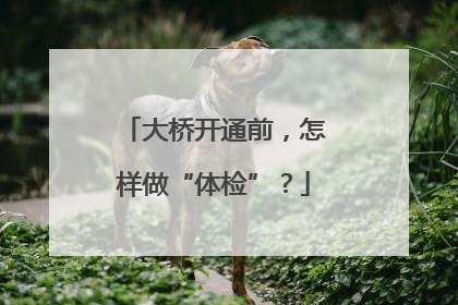 大桥开通前，怎样做“体检”？