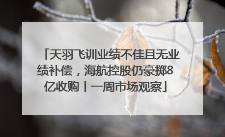 天羽飞训业绩不佳且无业绩补偿，海航控股仍豪掷8亿收购丨一周市场观察