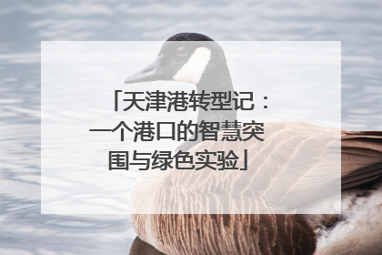 天津港转型记：一个港口的智慧突围与绿色实验