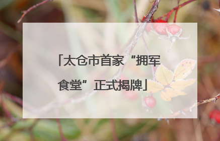 太仓市首家“拥军食堂”正式揭牌
