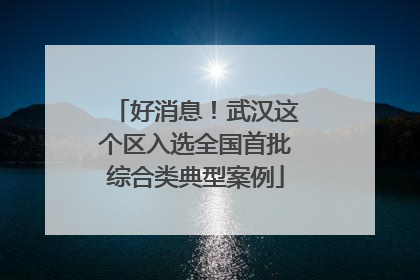 好消息！武汉这个区入选全国首批综合类典型案例