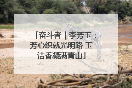 奋斗者｜李芳玉：芳心织就光明路 玉洁香凝满青山