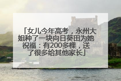 女儿今年高考，永州大姐种了一块向日葵田为她祝福：有200多棵，送了很多给其他家长