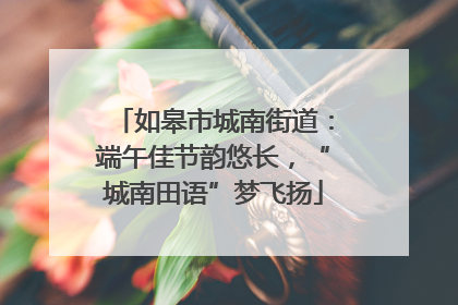 如皋市城南街道：端午佳节韵悠长，“城南田语”梦飞扬