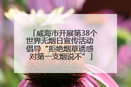 威海市开展第38个世界无烟日宣传活动 倡导“拒绝烟草诱惑 对第一支烟说不”