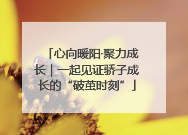 心向暖阳·聚力成长｜一起见证骄子成长的“破茧时刻”