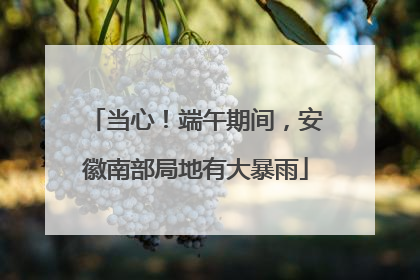 当心！端午期间，安徽南部局地有大暴雨