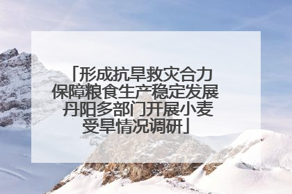 形成抗旱救灾合力 保障粮食生产稳定发展 丹阳多部门开展小麦受旱情况调研